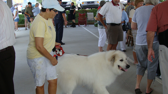 Farmers Market 2